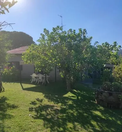 La Pineta